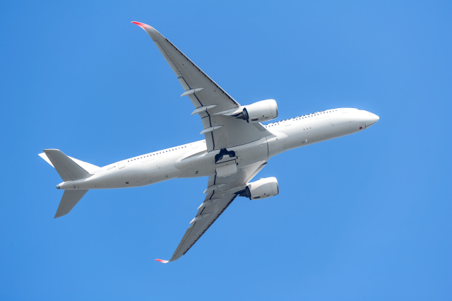 忘れられないー８月１２日の日航機事故のこと