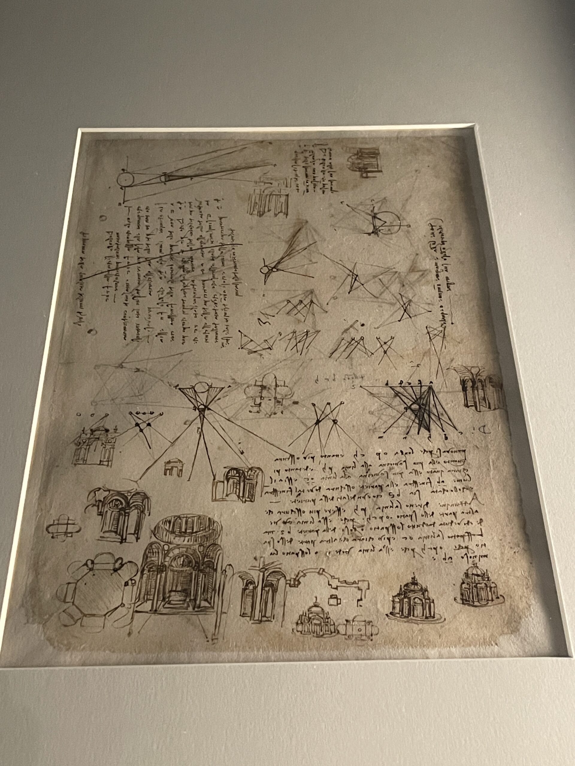 好奇心を満たすーEXPO2025 大阪万博